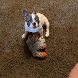 Meet your Posher, Marcia